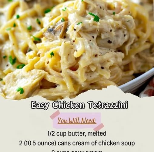 A creamy Chicken Tetrazzini with tender chicken, pasta, mushrooms, and a rich, cheesy cream sauce, finished with fresh parsley and black pepper. (Kitchen Fun With My 3 Sons