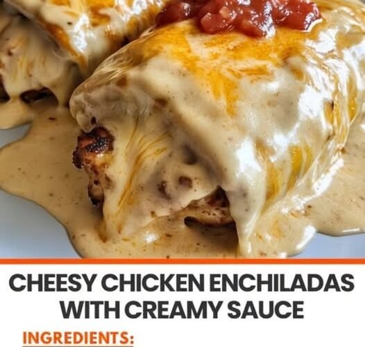 Creamy cheesy chicken enchiladas wrapped in soft flour tortillas, smothered in a rich white sauce, topped with melted golden cheese, and finished with a spoonful of chunky red salsa. The Cooking Twins