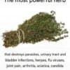 Image of a bundle of dried thyme tied with string, labeled “The most powerful herb,” with claims that it destroys parasites and helps treat urinary tract and bladder infections, herpes, flu viruses, joint pain, arthritis, sciatica, and Candida.