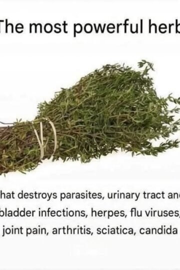 Image of a bundle of dried thyme tied with string, labeled “The most powerful herb,” with claims that it destroys parasites and helps treat urinary tract and bladder infections, herpes, flu viruses, joint pain, arthritis, sciatica, and Candida.