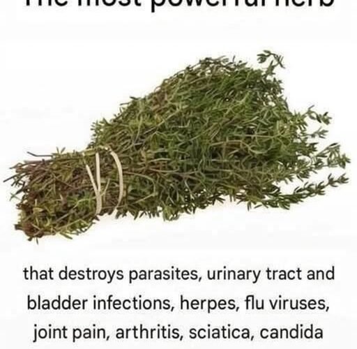 Image of a bundle of dried thyme tied with string, labeled “The most powerful herb,” with claims that it destroys parasites and helps treat urinary tract and bladder infections, herpes, flu viruses, joint pain, arthritis, sciatica, and Candida.