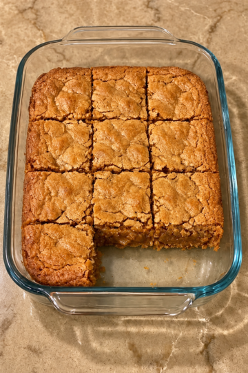 Easy 3-Ingredient Peanut Butter Blondies (No Mixer Recipe)